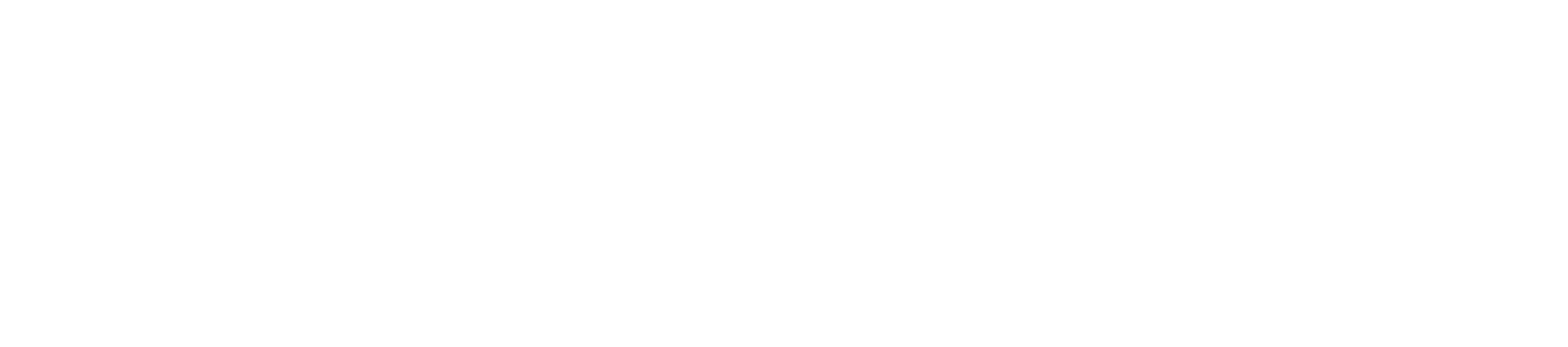 Synergy Safety Group